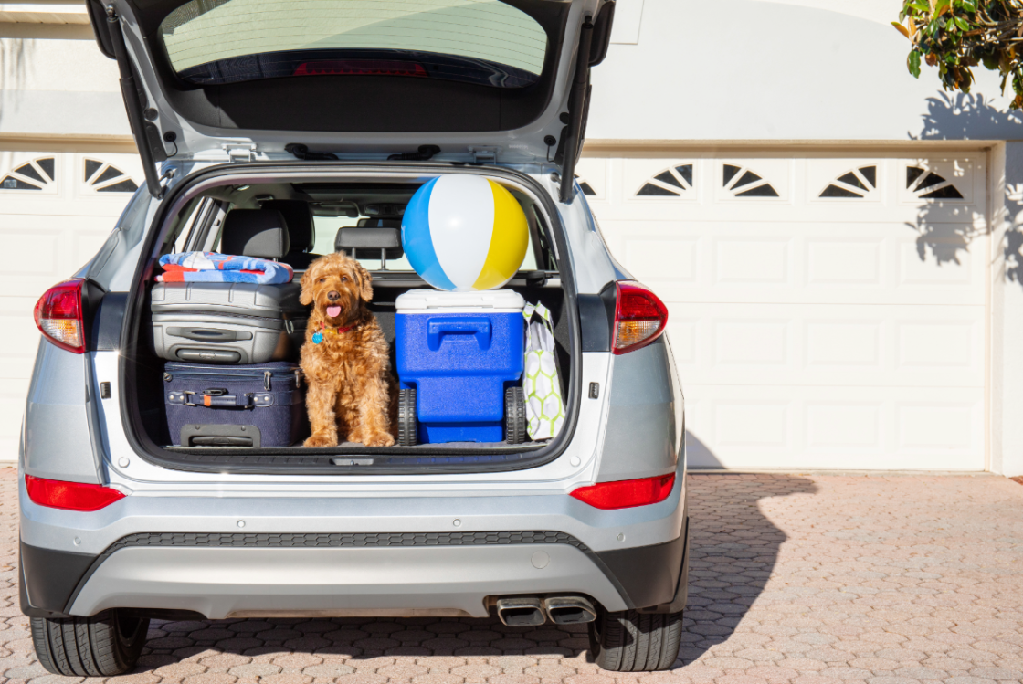 Car Rental